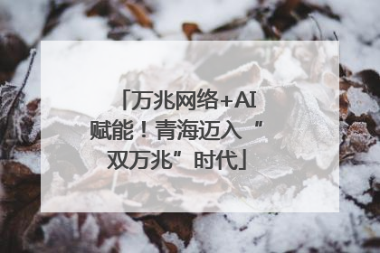 万兆网络+AI赋能！青海迈入“双万兆”时代