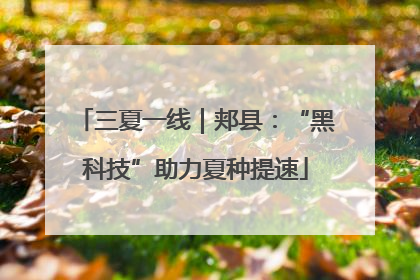 三夏一线｜郏县：“黑科技”助力夏种提速