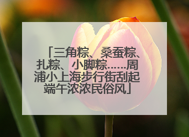三角粽、桑蚕粽、扎粽、小脚粽……周浦小上海步行街刮起端午浓浓民俗风