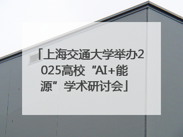 上海交通大学举办2025高校“AI+能源”学术研讨会