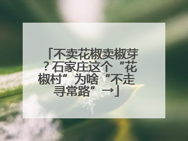 不卖花椒卖椒芽？石家庄这个“花椒村”为啥“不走寻常路”→
