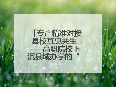 专产精准对接 县校互惠共生——高职院校下沉县域办学的“浙工商”经验