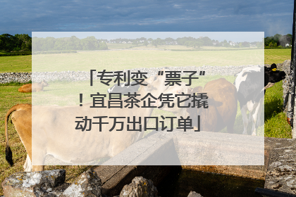专利变“票子”！宜昌茶企凭它撬动千万出口订单