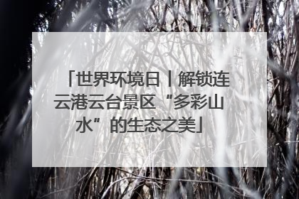 世界环境日丨解锁连云港云台景区“多彩山水”的生态之美