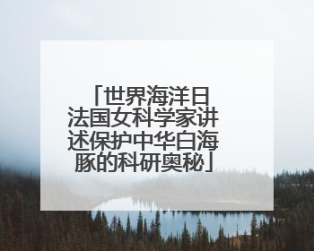 世界海洋日 法国女科学家讲述保护中华白海豚的科研奥秘