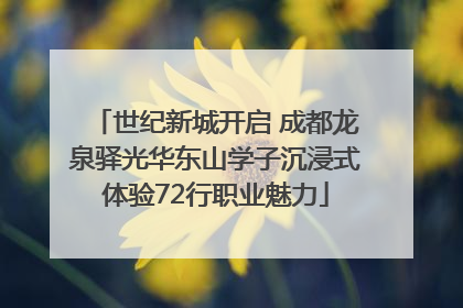 世纪新城开启 成都龙泉驿光华东山学子沉浸式体验72行职业魅力