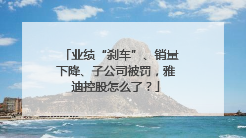 业绩“刹车”、销量下降、子公司被罚，雅迪控股怎么了？