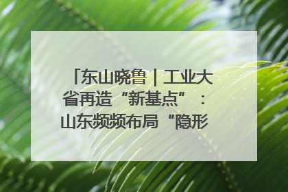 东山晓鲁｜工业大省再造“新基点”：山东频频布局“隐形冠军”背后