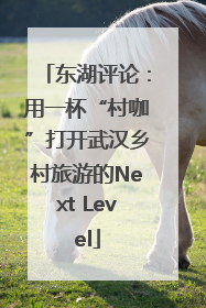 东湖评论：用一杯“村咖”打开武汉乡村旅游的Next Level