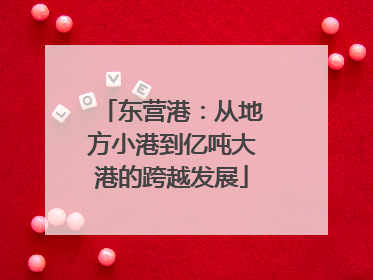 东营港：从地方小港到亿吨大港的跨越发展