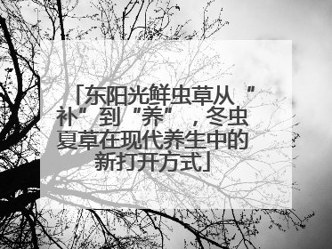 东阳光鲜虫草从“补”到“养”，冬虫夏草在现代养生中的新打开方式