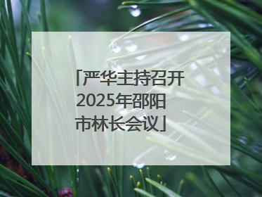 严华主持召开2025年邵阳市林长会议