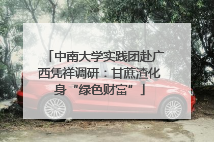 中南大学实践团赴广西凭祥调研：甘蔗渣化身“绿色财富”