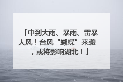 中到大雨、暴雨、雷暴大风！台风“蝴蝶”来袭，或将影响湖北！