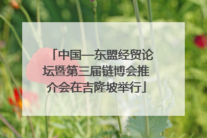 中国—东盟经贸论坛暨第三届链博会推介会在吉隆坡举行