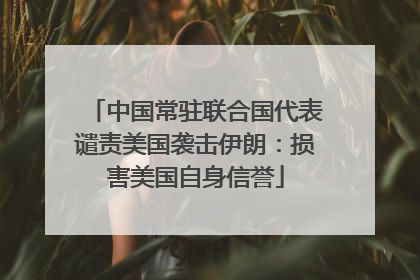 中国常驻联合国代表谴责美国袭击伊朗：损害美国自身信誉