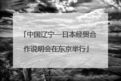 中国辽宁—日本经贸合作说明会在东京举行