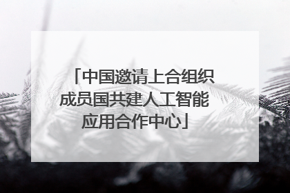 中国邀请上合组织成员国共建人工智能应用合作中心