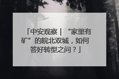 中安观察｜“家里有矿”的皖北双城，如何答好转型之问？