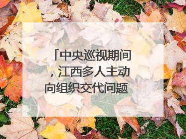 中央巡视期间，江西多人主动向组织交代问题｜打虎拍蝇