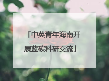 中英青年海南开展蓝碳科研交流
