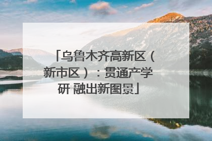 乌鲁木齐高新区（新市区）：贯通产学研 融出新图景