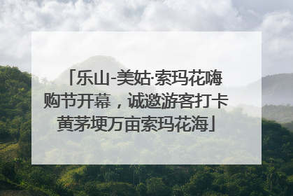 乐山-美姑·索玛花嗨购节开幕，诚邀游客打卡黄茅埂万亩索玛花海