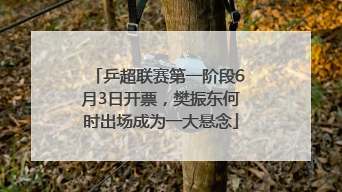乒超联赛第一阶段6月3日开票，樊振东何时出场成为一大悬念