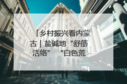 乡村振兴看内蒙古｜盐碱地“舒筋活络” “白色荒漠”长出吨粮田