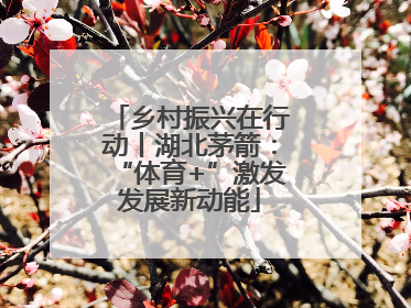 乡村振兴在行动丨湖北茅箭：“体育+”激发发展新动能