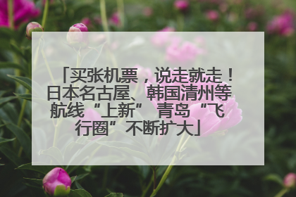 买张机票，说走就走！日本名古屋、韩国清州等航线“上新” 青岛“飞行圈”不断扩大