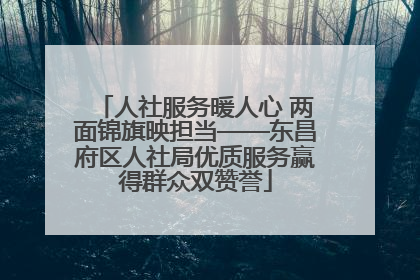 人社服务暖人心 两面锦旗映担当——东昌府区人社局优质服务赢得群众双赞誉