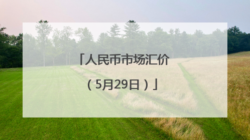 人民币市场汇价（5月29日）