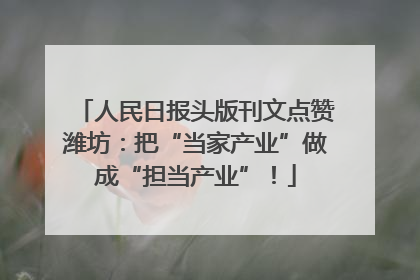 人民日报头版刊文点赞潍坊：把“当家产业”做成“担当产业”！