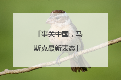 事关中国，马斯克最新表态