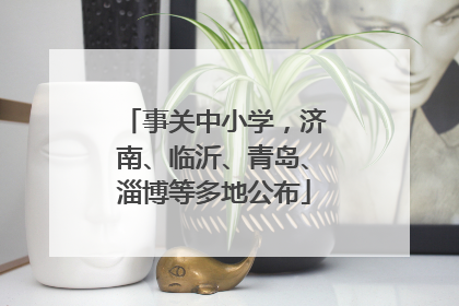 事关中小学,济南、临沂、青岛、淄博等多地公布