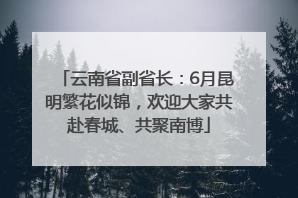 云南省副省长：6月昆明繁花似锦，欢迎大家共赴春城、共聚南博