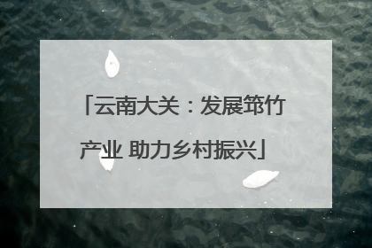 云南大关：发展筇竹产业 助力乡村振兴