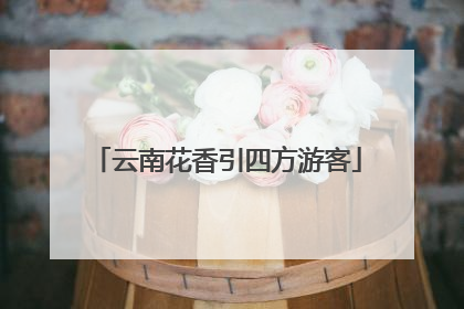 云南花香引四方游客
