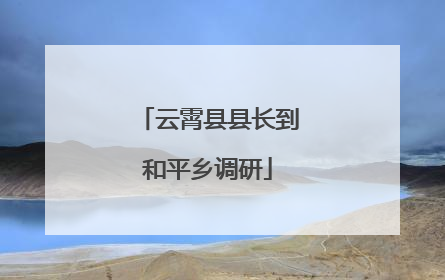 云霄县县长到和平乡调研
