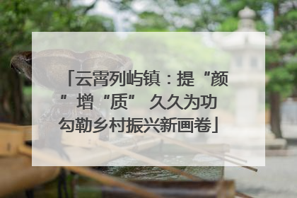 云霄列屿镇：提“颜”增“质” 久久为功勾勒乡村振兴新画卷