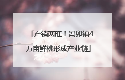 产销两旺！冯卯镇4万亩鲜桃形成产业链