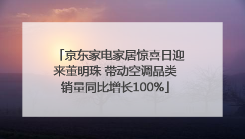 京东家电家居惊喜日迎来董明珠 带动空调品类销量同比增长100%