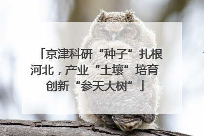 京津科研“种子”扎根河北，产业“土壤”培育创新“参天大树”