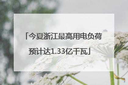 今夏浙江最高用电负荷预计达1.33亿千瓦