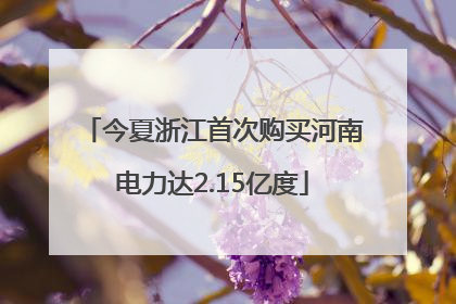 今夏浙江首次购买河南电力达2.15亿度