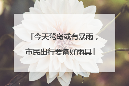 今天鹭岛或有暴雨，市民出行要备好雨具
