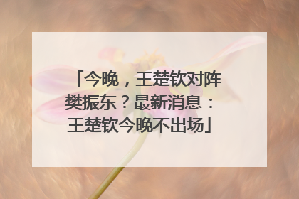 今晚，王楚钦对阵樊振东？最新消息：王楚钦今晚不出场