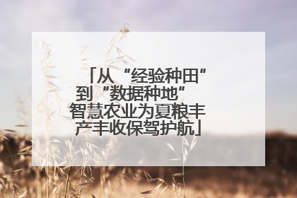 从“经验种田”到“数据种地” 智慧农业为夏粮丰产丰收保驾护航