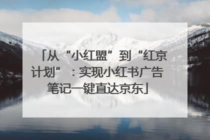 从“小红盟”到“红京计划”：实现小红书广告笔记一键直达京东